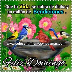 Frases Para Este Domingo Para Celular