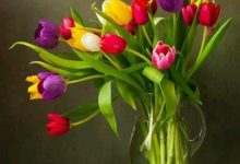 Photo of Frases Para Felicitar A Una Amiga En Su Cumpleaños Para Descargar En Facebook
