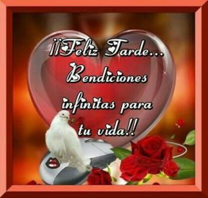 Frases Para La Tarde De Hoy Para Whatsapp Celular