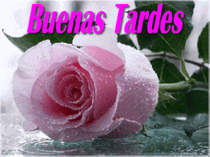 Frases para la tarde gif animadas