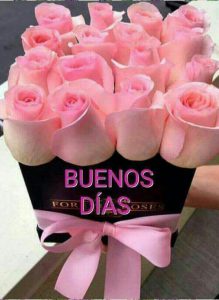 Frases Para Los Buenos Dias