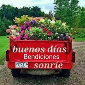 Frases para los buenos días para descargar