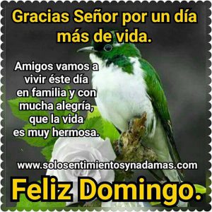 Frases Para Los Domingos Para Whatsapp