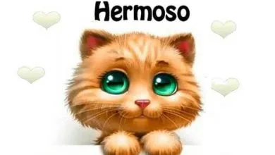 Photo of Frases Para Sabado Para Whatsapp