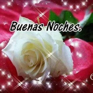 Frases Para Tu Novia De Buenas Noches Para Whatsapp