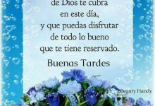 Photo of Frases Para Una Linda Tarde Para Whatsapp Celular