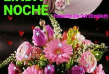 Photo of Frases Romanticas De Buenas Noches Para Enamorar