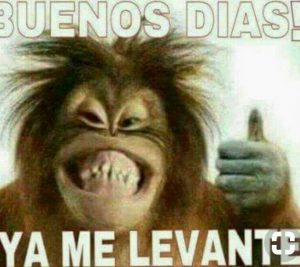 Frases Romanticas De Buenos Dias Para Descargar