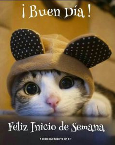 Frases Romanticas De Buenos Dias Para Enamorar Para Whatsapp