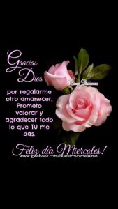 Frases Romanticas De Buenos Dias Para Mi Novia Para Descargar