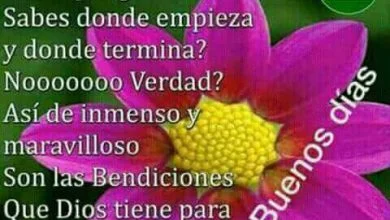 Photo of Frases Romanticas De Buenos Dias Para Whatsapp