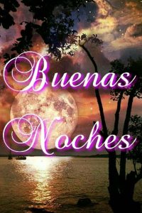 Frases Romanticas Para Decir Buenas Noches