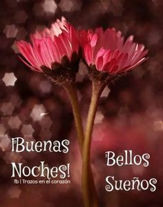 Frases Sobre Buenas Noches Para Facebook