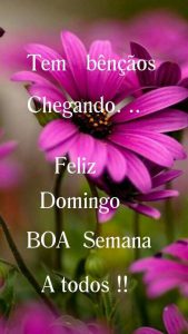 Frases Sobre El Domingo Para Celular