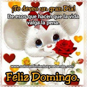 Frases Sobre Los Domingos Para Celular