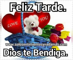 Frases Tarde Para Whatsapp Celular