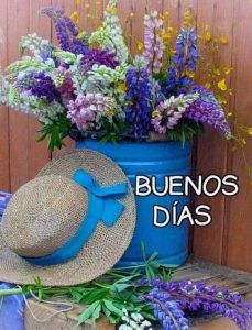 Frases Y Imagenes De Buenos Dias Para Celular