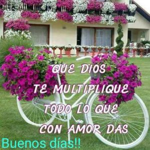 Frases Y Imagenes De Buenos Dias Para Mi Amor