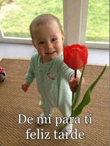 Gif De Buenas Tardes Animados Para Whatsapp Celular