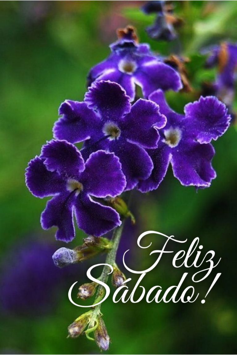 Gif Feliz Sabado