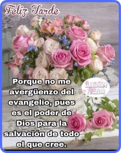 Gifs Animados De Buenas Tardes Para Whatsapp Celular