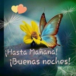 Google Imagenes De Buenas Noches Para Whatsapp