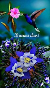 Googleimagenes de buenos días para celular