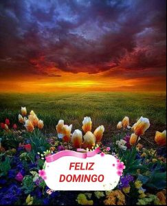 Hermoso Domingo Frases Para Celular