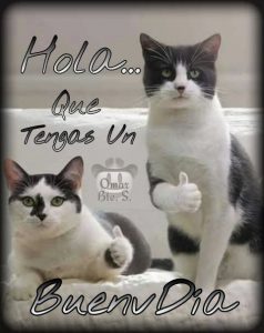 Hola Amor Buenos Dias Imagenes Para Una Amiga