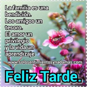 Hola Buenas Tardes Para Whatsapp Celular