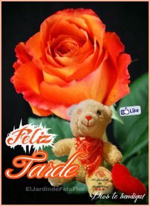 Hola Muy Buenas Tardes Para Facebook Y Whatsapp