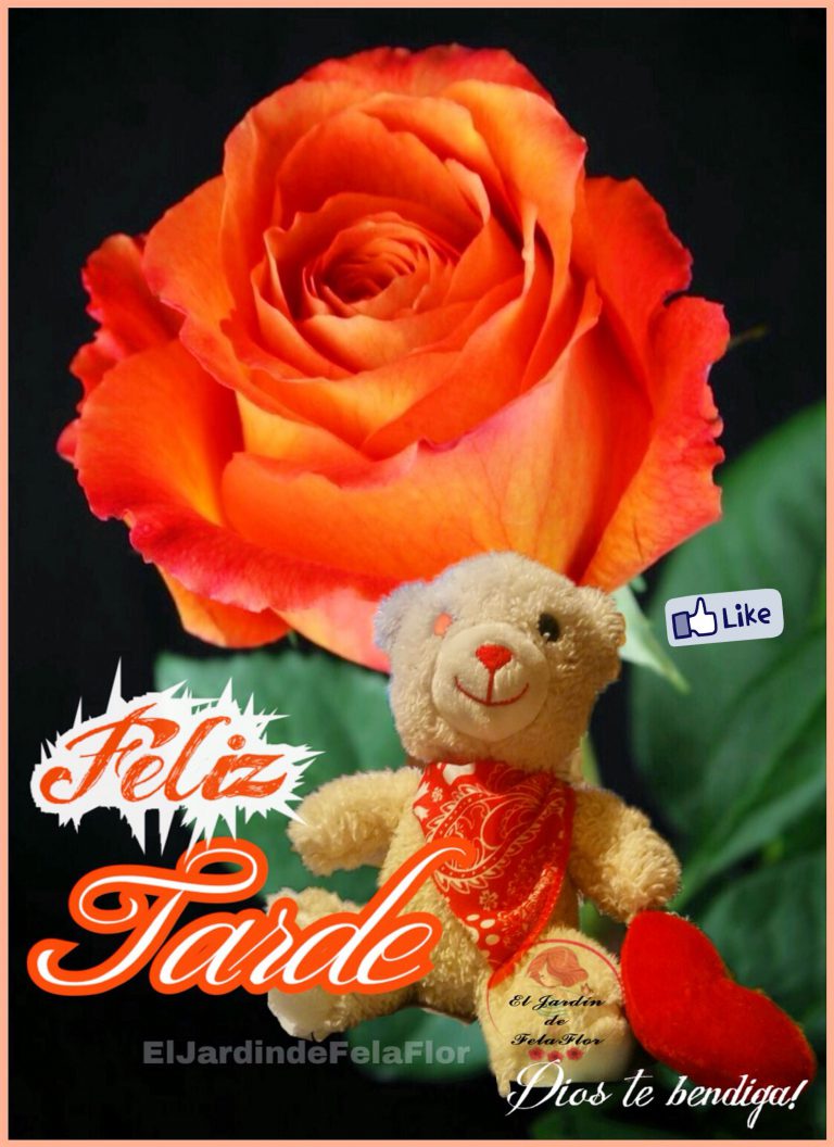 Hola Muy Buenas Tardes Para Facebook Y Whatsapp