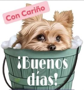 Ilustraciones De Buenos Dias Para Celular