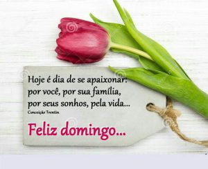 Imágenes De Buenos Días De Domingo Para Celular