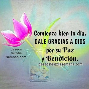 Imagen D Buenos Dias Mi Amor Para Mi Amor