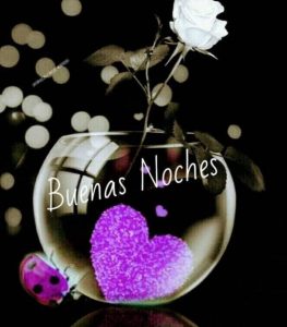 Imagenes Amor De Buenas Noches Para Celular