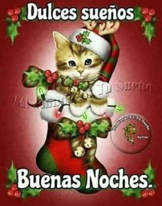 Imagenes Amor De Buenas Noches Para Facebook