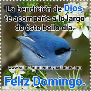 Imagenes Animadas De Feliz Domingo Para Celular