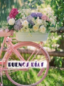 Imagenes Bellas Con Frases De Buenos Dias Para Celular