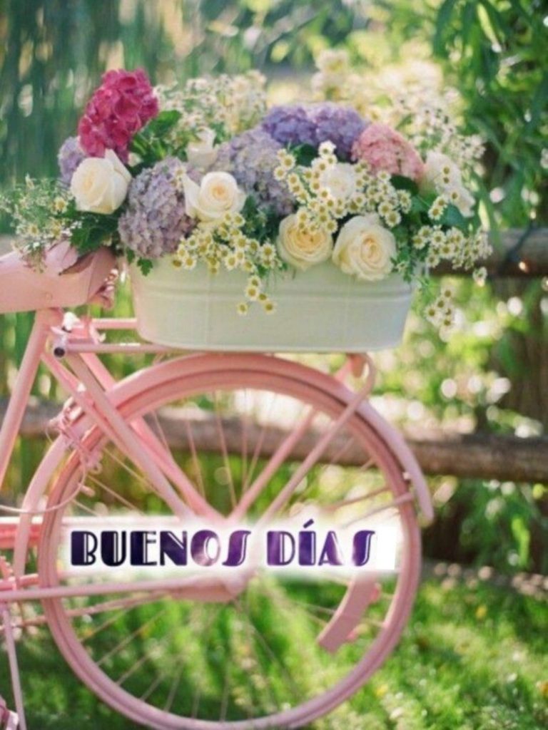 Imagenes Bellas Con Frases De Buenos Dias Para Celular