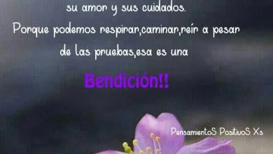 Photo of Imagenes Bellas Con Frases De Buenos Dias Para Facebook