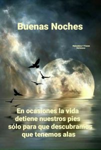 Imagenes Bellas De Buenas Noches Para Celular