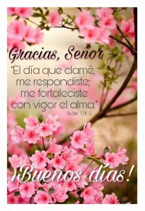 Imagenes Bellas De Buenos Dias Mi Amor