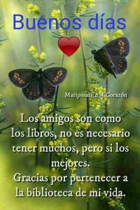 Imagenes Bellas De Buenos Dias Mi Amor Para Whatsapp