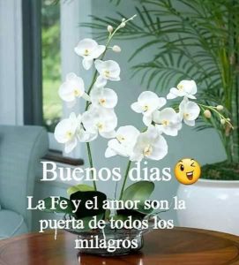 Imagenes Bellas De Buenos Dias Para Compartir Para Celular