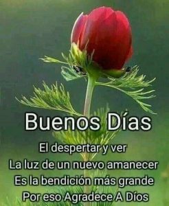 Imagenes Bellas De Buenos Dias Para Descargar