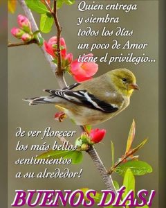 Imagenes Bellas De Buenos Dias Para Facebook