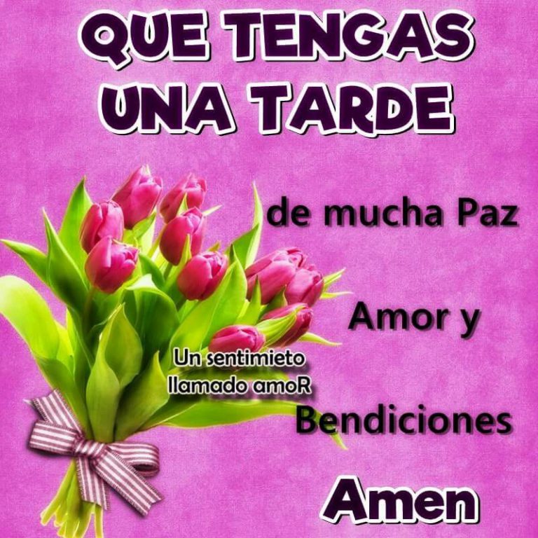 Imagenes Bonita Tarde Para Whatsapp Celular