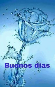 Imagenes Bonitas D Buenos Dias Para Whatsapp
