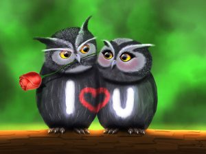 Imagenes Bonitas De Amor 2016 Para Celular Whatsapp